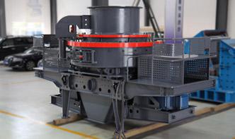 Belt and Conveyor Weighing System WSI